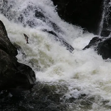 Gaulabua - Cozy By The River Gaula *